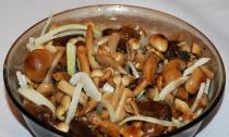 Соление и маринование грибов Как стерилизовать банки с солеными грибами